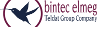 Bintec Logo