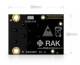 RAK Wireless 100012