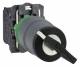 Schneider Electric XB5AG21C0 Schneider Schlüsselschalter, komplett,2-Positionen 22mm