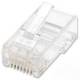 INTELLINET 502344 100er-Pack Cat6 RJ45-Modularstecker UTP, 2-Punkt-Aderkontaktierung, für Litzendraht, 100 Stecker pro Becher