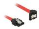 DELOCK SATA-Kabel SATA III -> SATA down St/St 0.70m rot Clip