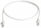 Telegärtner 100008522 TEGA Patchkabel U/UTP Cat.6 3,0m MP8 250 LSZH weiß RAL9003 1:1