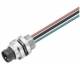 Weidmüller SAIE-M8R-3-0.5U-FP-M8 Einbaustecker Pz5 0,5m 1861280000