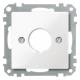 Merten 393819 Zentralplatte für Befehlsgeräte polarweiß glänzend System M