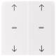 Berker 80961389 Abdeckung für Tastsensor Modul 2f mit Pfeil-Symbol S.1/B.x pws