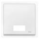 Merten 433719 Wippe mit Fenster rechteckig IP44 polarweiß System M