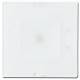 Busch Jaeger 2CKA001510A0017 BJ 2068/22-84 ceiling module solo flat Busch-Icelight