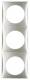 Berker 918192568 Rahmen 3fach Integro Flow chrom,matt lackiert