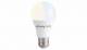 Shelly · Plug & Play · Duo E27 · LED Lampe · WLAN