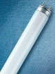 Osram 4050300004235 Leuchtstofflampe L 18W/77 FLUORA