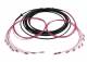 Synergy 21 S217071 LWL-Kabel, Trunkkabel U-DQ(ZN)BH 8G 50/125, LC/LC OM4 20m, Ring, Synergy21