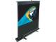 Elite Screens F100NWV