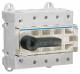 Hager disconnectors HA306 125 amperes, 3 pole 6PLE visible separation