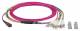 LWL-MTP®-Female-LC Patchkabel OM4 LowLoss, 8 Faser, erika-violett, 5m,