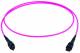 Telegärtner, MPO female patch cord 5m, type A, round cable violet 50µ OM4