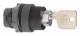 Schneider Electric ZB5AFDC key switch, 2 parking. latching lock 4A185