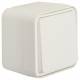 Berker 30773502 cross switch AP W.1 polar white