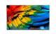 TP VISION 65HFL6214U/12 65HFL6214U 25CM 65IN