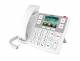 Fanvil X305, Big button phone / Seniorentelefon
