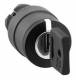 Schneider Electric ZB5AG0 key switch,
