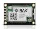 RAK Wireless 115004