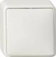 Gira 010613 AP exchange switch pure white 0106 13