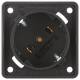 Berker 8418525 SCHUKO 45 °, Integro inserts, matt black