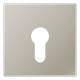 Jung ES2925 Cover for key switch, ES 2925