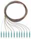 Rutenbeck Pigtails 12xLC OM3 12xLC OM3 2m 228040002