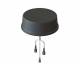 Cisco ANT-3-4G2G1-O= 3 IN 1 OUTDOOR ANTENNA