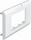 OBO Bettermann 6258040 OBO ADR-45 2 RW cover frame 2f 170x86mm PC pure white 