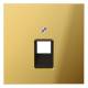 Jung GO2969-1UA Abdeckung für IAE/UAE 1x8polig LS goldfarben