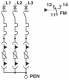 Phoenix Contact 2804416 Phoenix VAL-CP-MOSO 60-3C-FM Überspannungsschutz-Gerät Typ 2