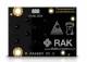 RAK Wireless 100014