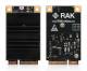 RAK Wireless 515009