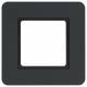 Berker 10116106 Rahmen 1f Q.7 für LEDBeleuchtung durch LED-Modul anthrazit