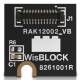 RAK Wireless 100032