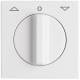 Busch Jaeger central disk 2142DR-34, all-weather alpine white with rotary handle IP44