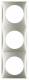 Berker 918192524 Rahmen 3fach Integro Flow edelstahl,lackiert