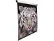 Elite Screens M113NWS1