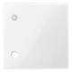 Merten 450719 central plate for pull button polar white glossy system M