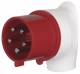 Berker 578201 CEE Winkelstecker 5-polig 32A Verbindungssysteme grau/rot