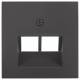 Berker 14091606 central plate anthracite 2-fold, 1409 16 06 B.1/B.3 for UAE socket
