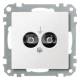 Merten 298219 PotentialausgleichSteckdose polarweiß System M