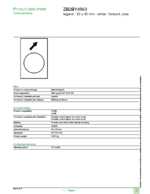 Datasheet for Schneider Electric ZB2BY4963, EAN: 3389110615258