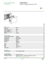 Datenblatt zu Schneider Electric KSA250FA4, EAN: 3606485014517