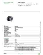 Datasheet for Schneider Electric ZB5AW913, EAN: 3389110924329
