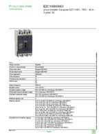 Datasheet for Schneider Electric EZC100H3063, EAN: 3303431120307